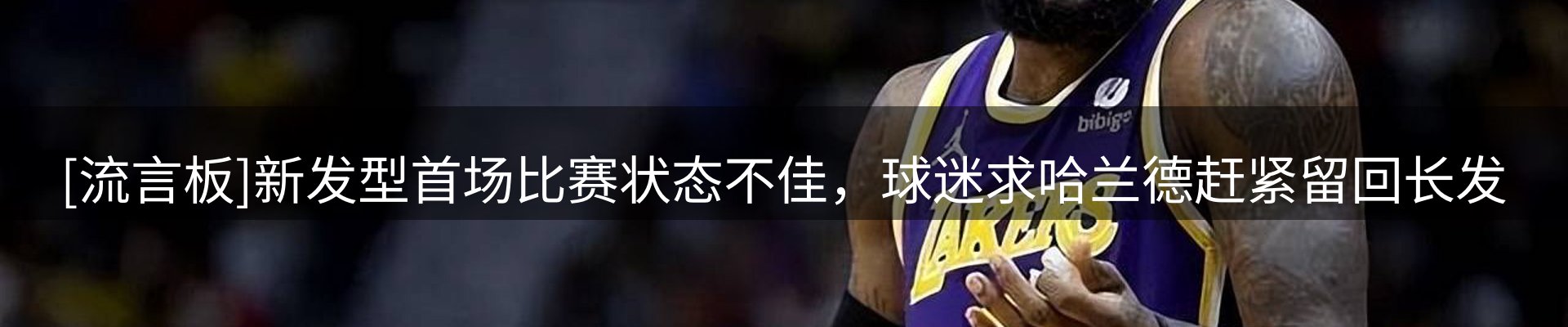 网站资讯
